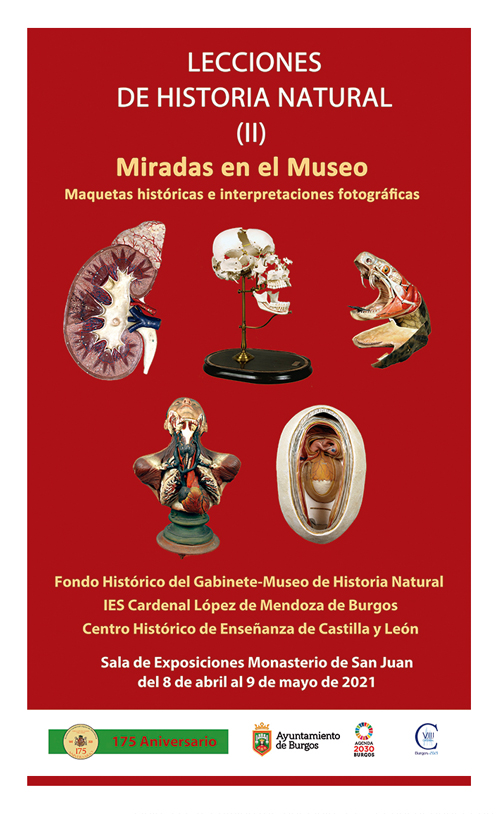 Museo Mendoza - Expo Maquetas (2021)